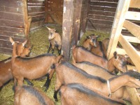 /album/excursions/img-3334-jpg/