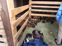 /album/excursions/img-3339-jpg/