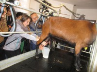 /album/excursions/img-3341-jpg/