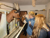 /album/excursions/img-3352-jpg/