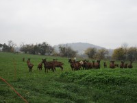 /album/excursions/img-3356-jpg/